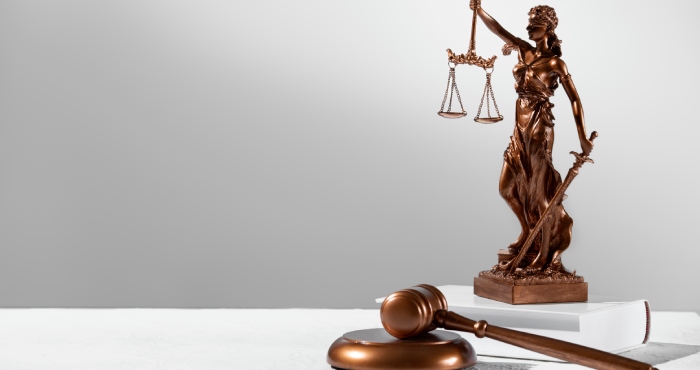 Basics Of Lemon Law