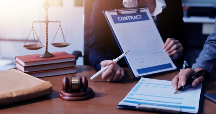 The Legal Process