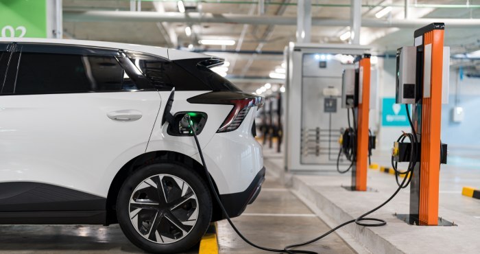 electric vehicle industry 