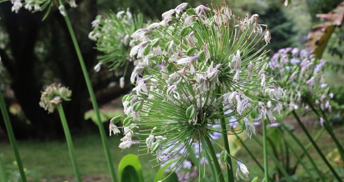 Botanical Gardens