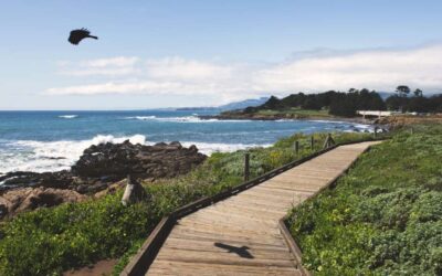 Bonita, California: Your Ultimate Guide To Things To Do And Places To Stay