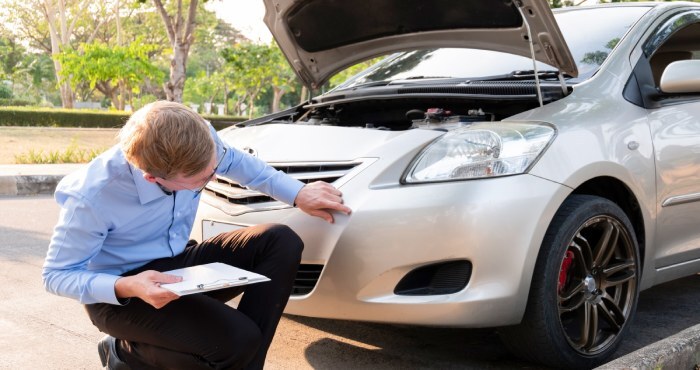 Misclassifying the Vehicle's Defects