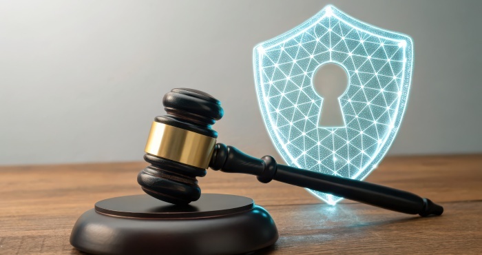  Law protections 
