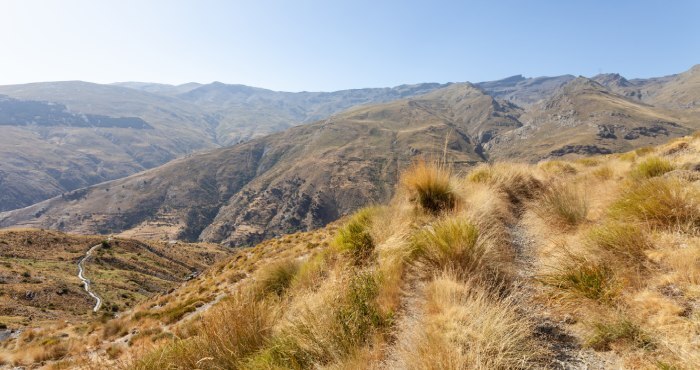 Sierra Nevada foothills