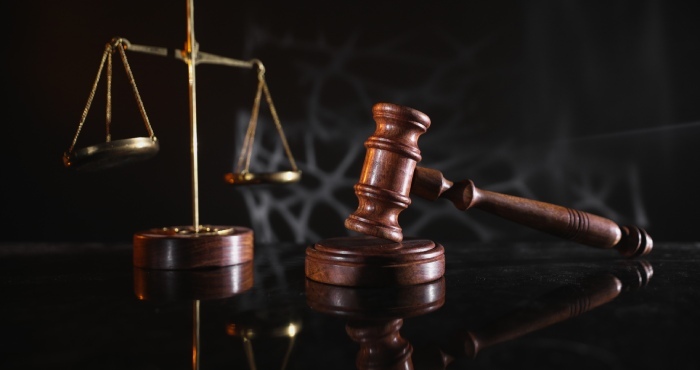 legal expert