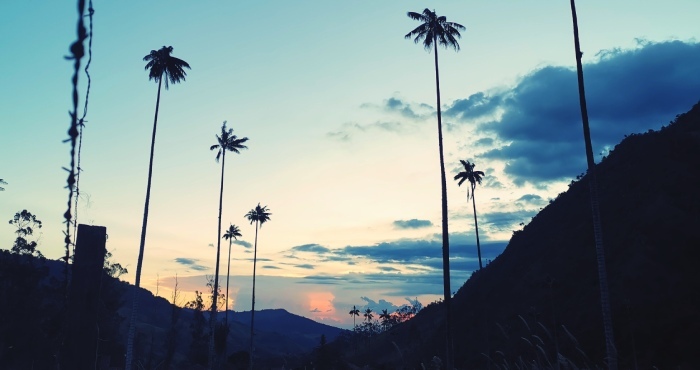 sunrise and sunset views