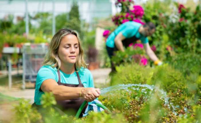 Water Conservation Garden