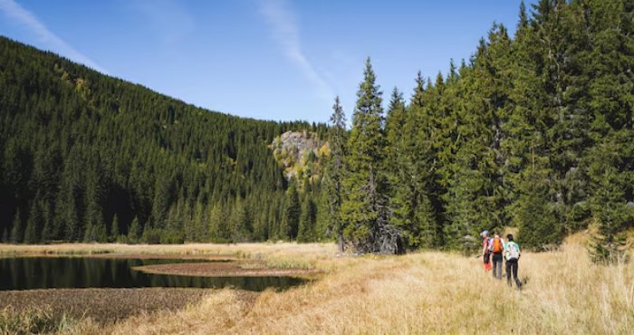 Hiking and Nature Walks