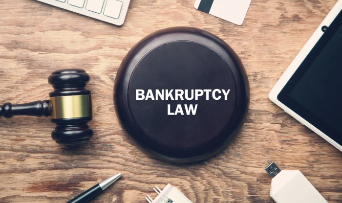 Bankruptcy law