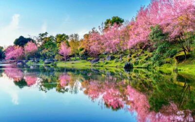 Exploring Warner Springs Natural Beauty: Hikes, Springs, and Scenic Views