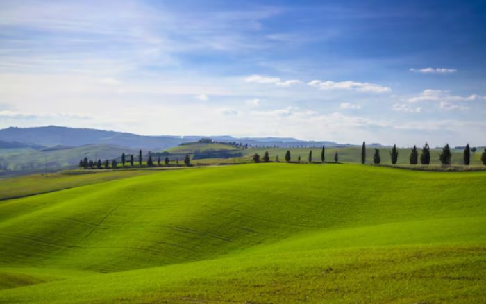 rolling hills