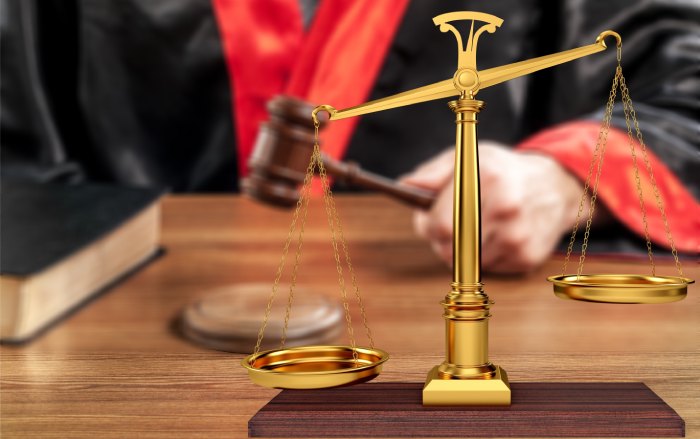 Lemon Law cases